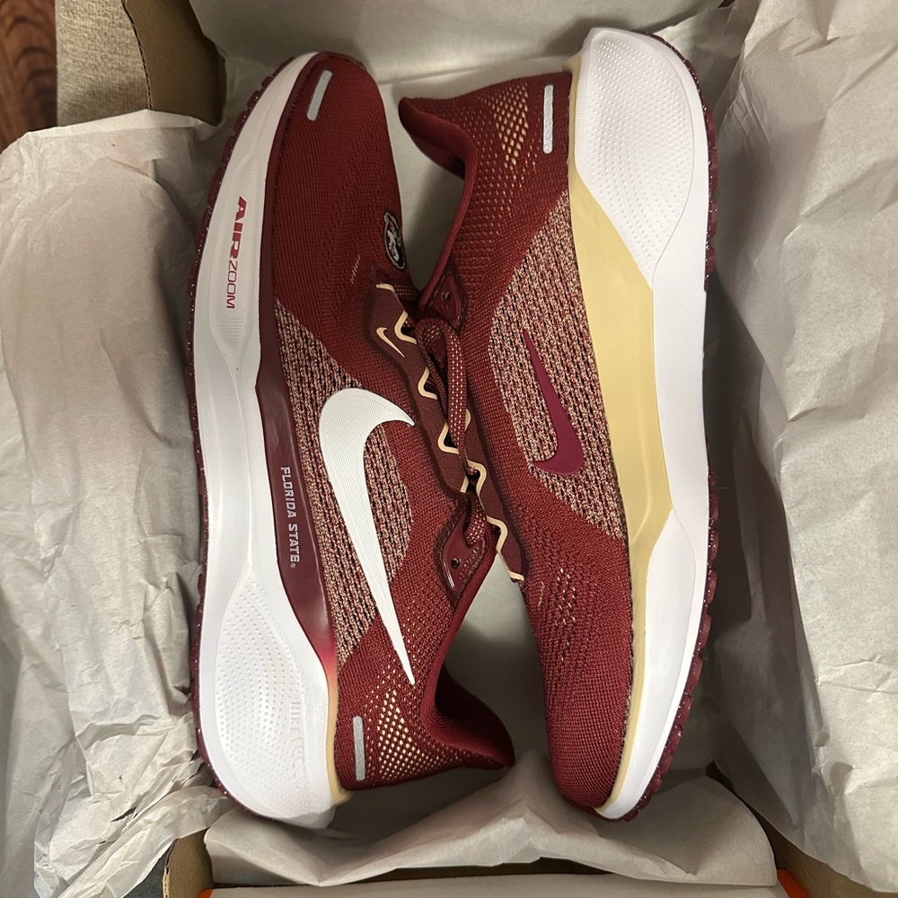 NEW Florida State Seminole Nike Zoom Pegasus 42 running shoe Brand New w/ Box